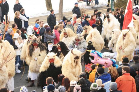 busojrs_2010-02-14_103.jpg