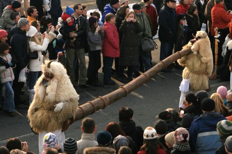 busojrs_2010-02-14_121.jpg