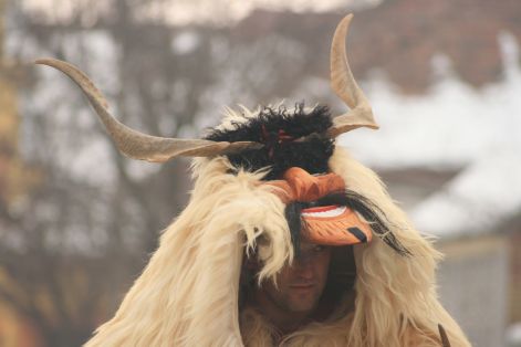 busotemetes2010_022.jpg