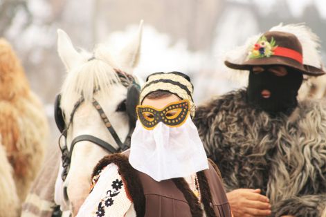 busotemetes2010_179.jpg